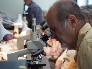 Sab. 21 aprile 2018 - Corso di Microscopia con Dolores Maggiori