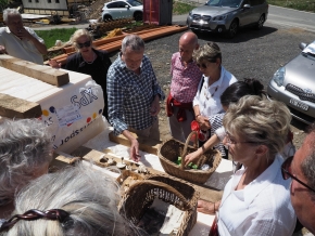 Dom. 21 luglio 2019 - Micologia alpina in Val Bedretto