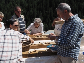 Dom. 21 luglio 2019 - Micologia alpina in Val Bedretto
