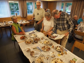 Mer. 14 - Sab. 17 agosto 2019 - Gita del comitato a Lehmen, Appenzello