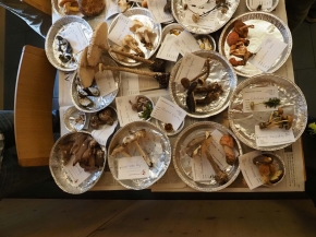 Mer. 14 - Sab. 17 agosto 2019 - Gita del comitato a Lehmen, Appenzello