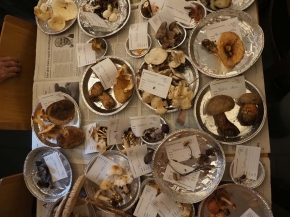 Mer. 14 - Sab. 17 agosto 2019 - Gita del comitato a Lehmen, Appenzello