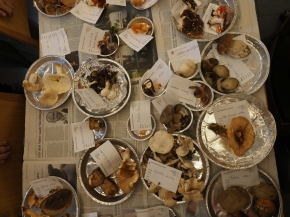 Mer. 14 - Sab. 17 agosto 2019 - Gita del comitato a Lehmen, Appenzello