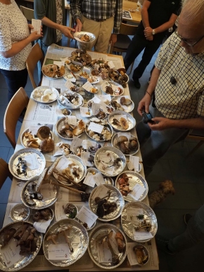 Mer. 14 - Sab. 17 agosto 2019 - Gita del comitato a Lehmen, Appenzello