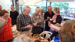 Sab. 7 settembre 2019 - Corso di ricerca e riconoscimento funghi a Cimalmotto