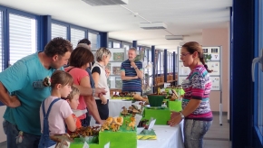 Sab. 21 e dom. 22 settembre 2019 - Mostra del fungo a Muralto