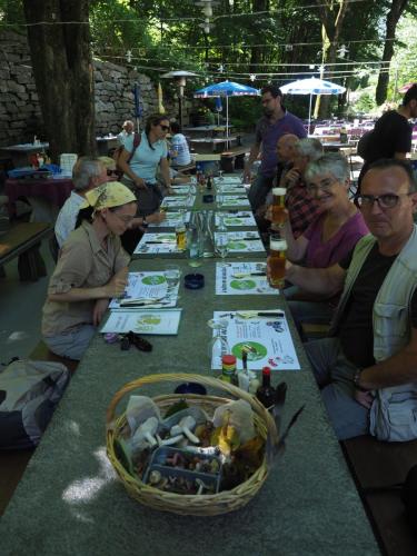 Giornata studio piante Monte Verità 2018