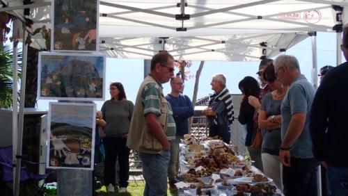 Mostra Orselina 2018