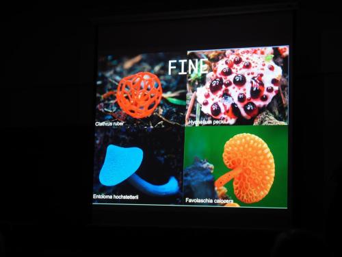 Presentazione La Biologia dei funghi 2018
